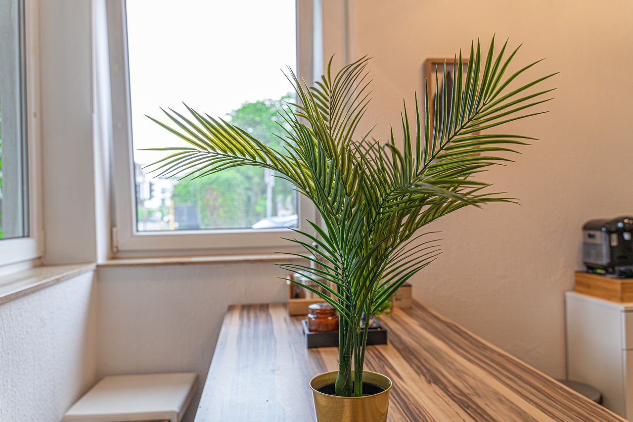 Wohnung Pützstraße in Wesseling