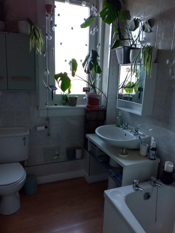 Room Shadepark Crescent in Dalkeith