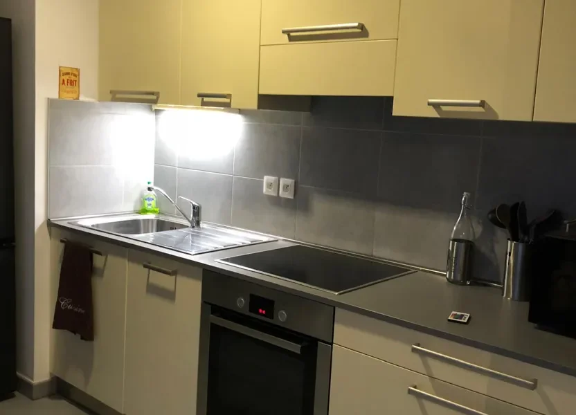 Appartement Rue Guillaume Camps à Annemasse