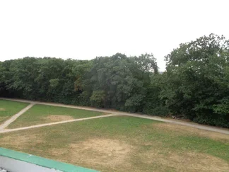 Wohnung Lasker-Schüler-Straße in Köln
