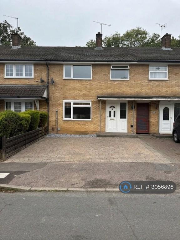 House Marlins Turn in Dacorum