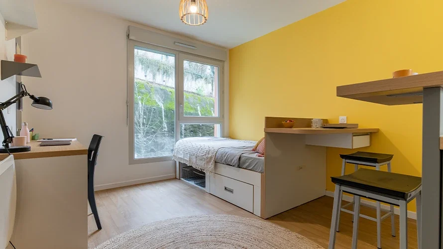 Chambre Avenue René Cassin à Lyon