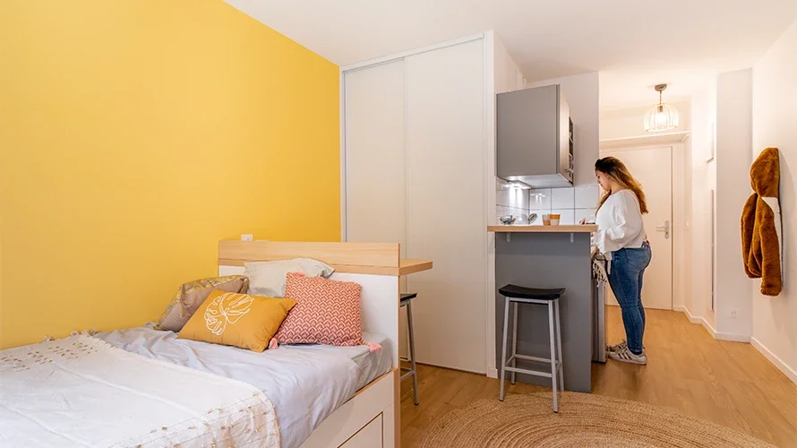 Room Avenue René Cassin in Lyon