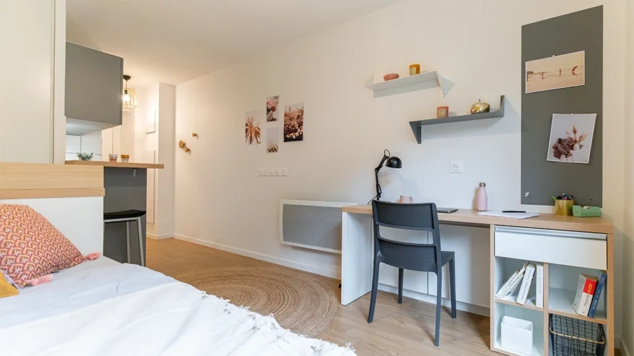Chambre Avenue René Cassin à Lyon