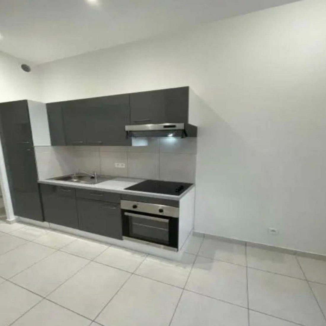 Appartement Rue Charton à Oullins-Pierre-Bénite