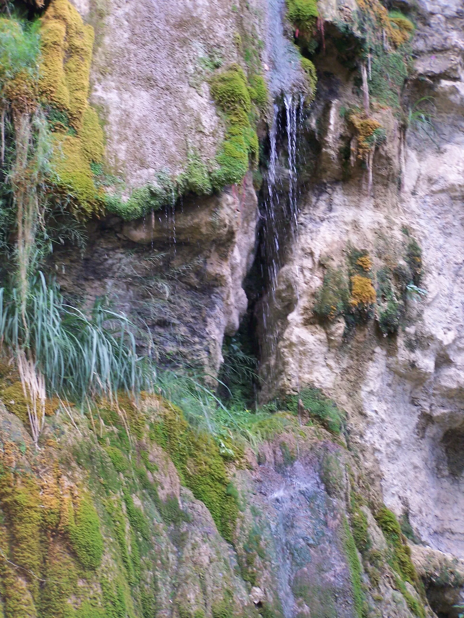 Chambre D 14 à Bugarach