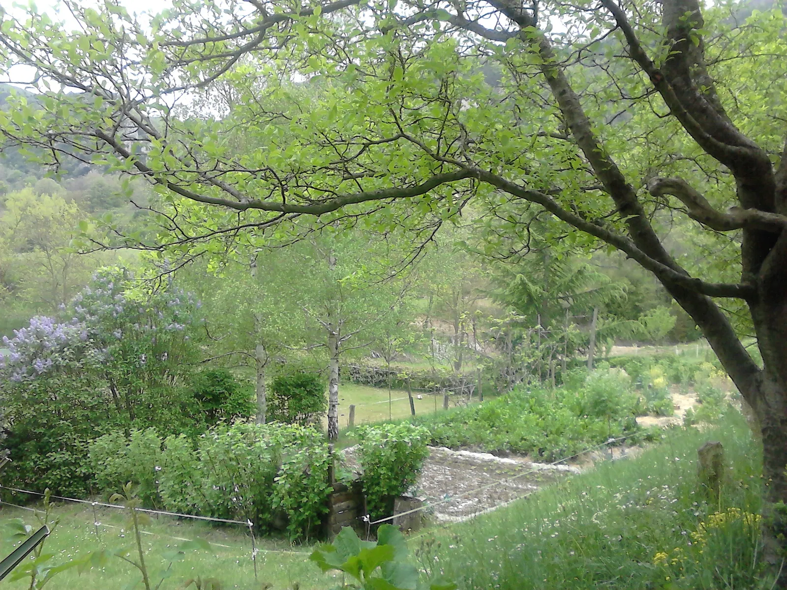 Chambre D 14 à Bugarach