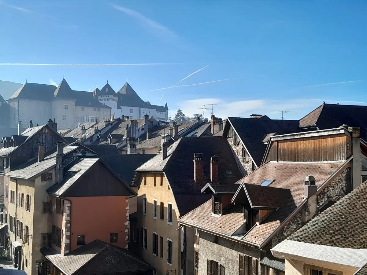 Flat Rue du Lac in Annecy