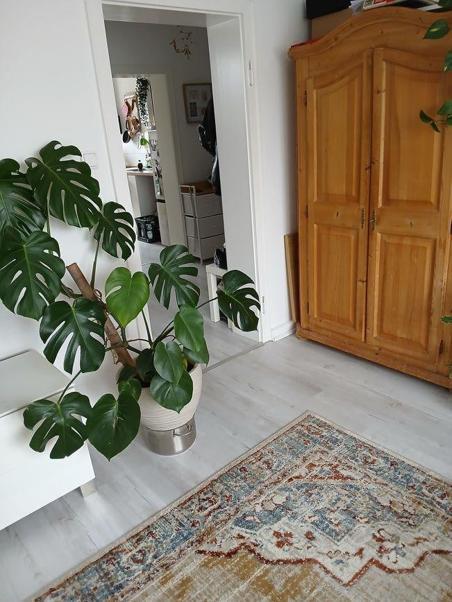 Wohnung Eifelstraße in Solingen