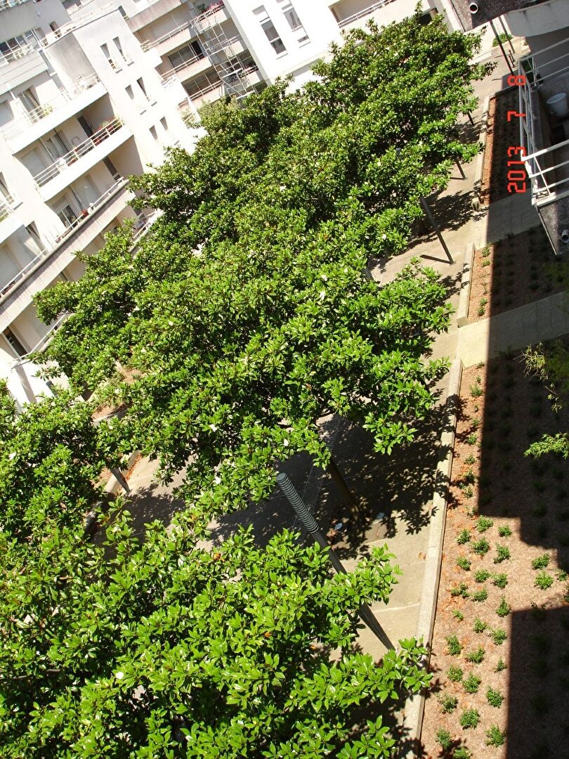 Appartement Cours Sully à Nantes