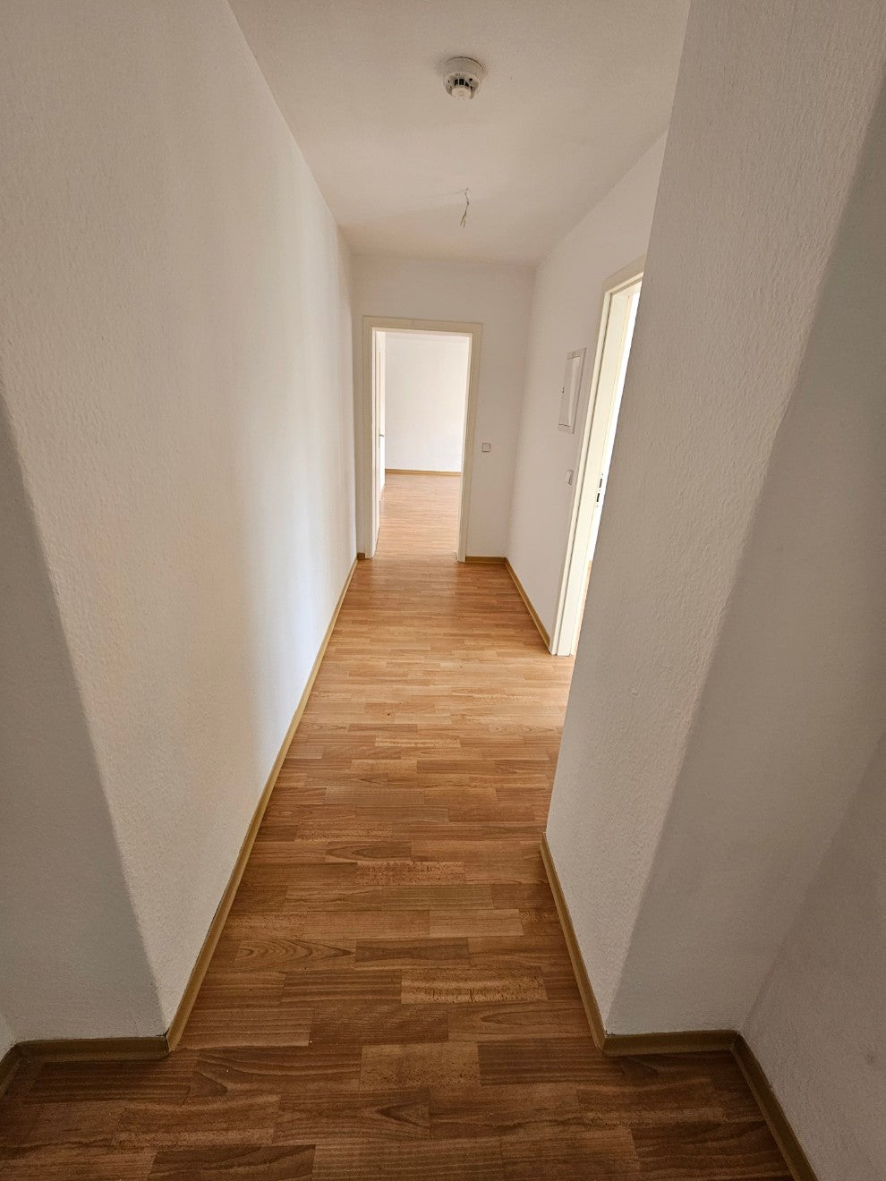 Wohnung Rousseaustraße in Altenburg