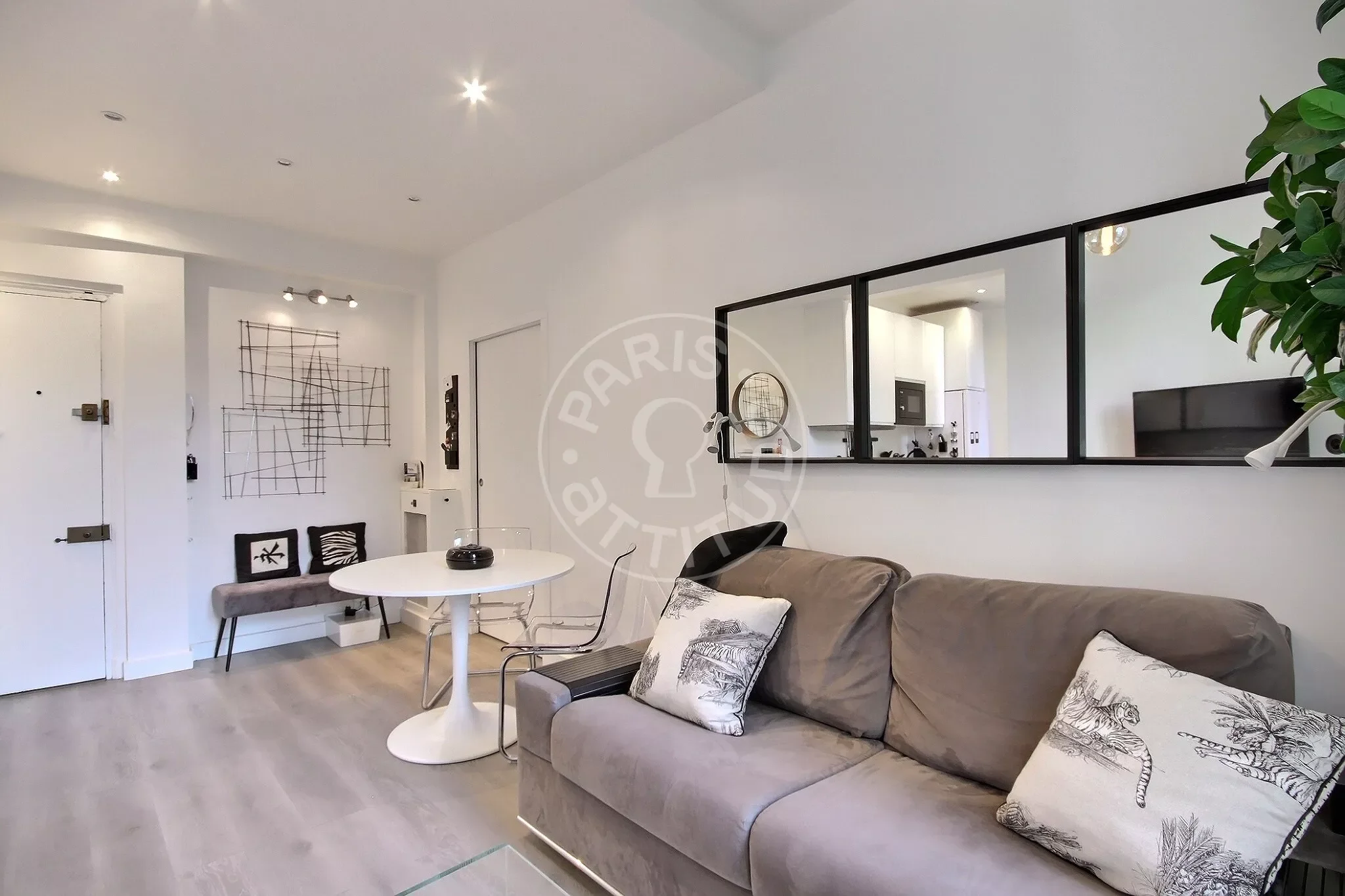 Flat Rue Cambronne in Paris