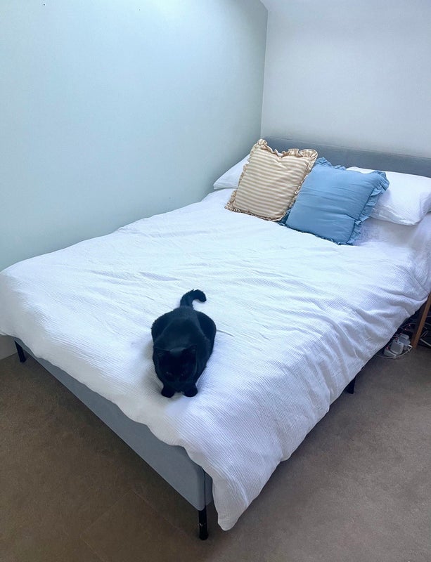 Room Cavendish Road in Greater London
