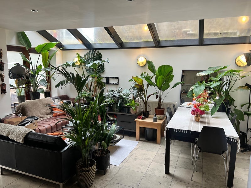 Room Brixton Water Lane in Greater London
