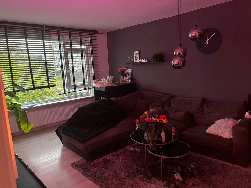 Flat Tweelingenstraat in Dordrecht