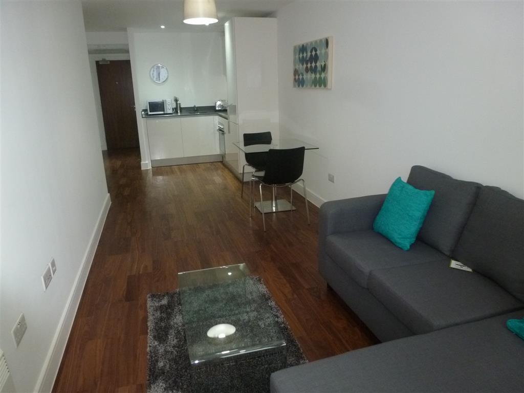 Flat Hagley Road in Birmingham