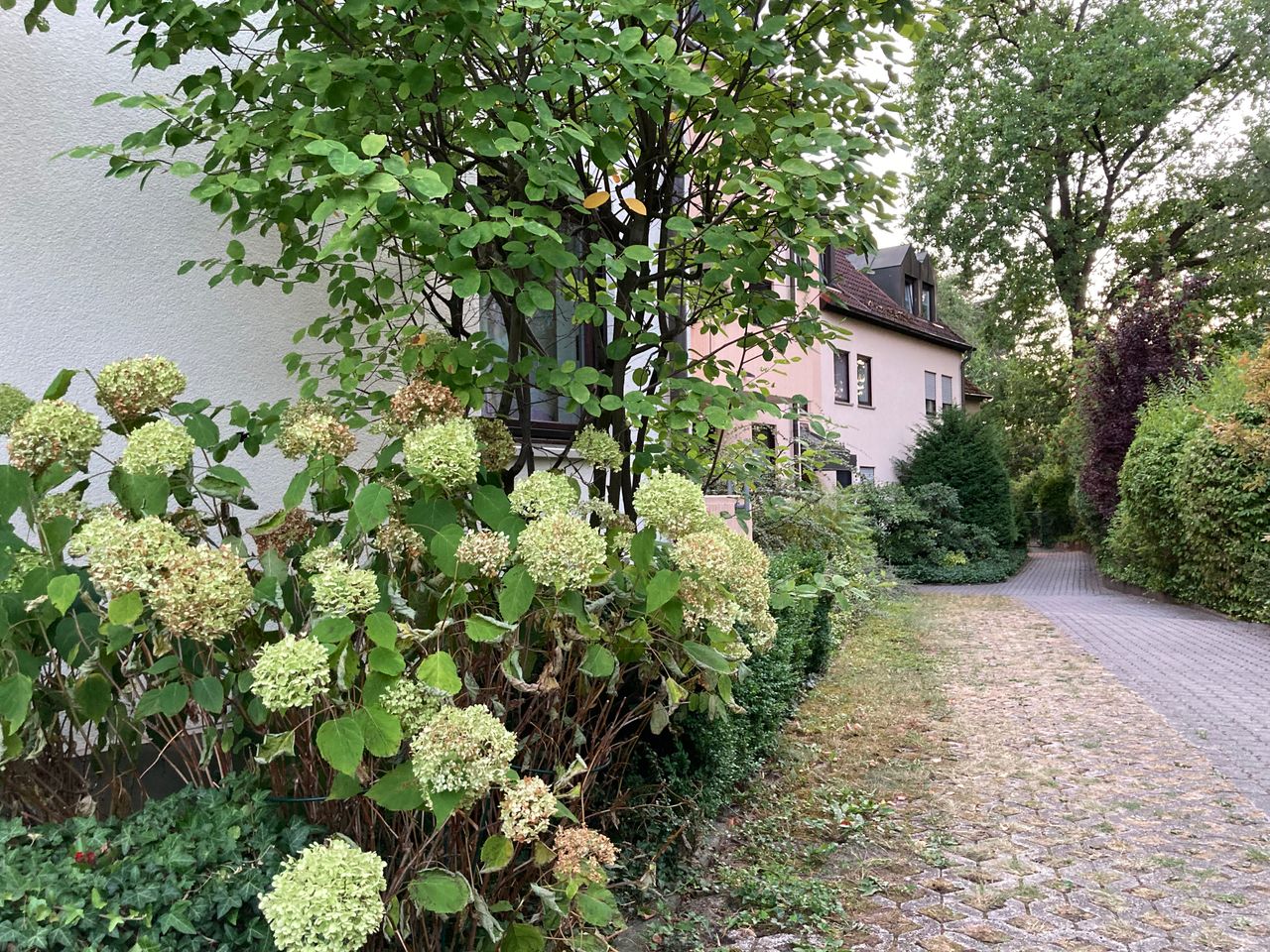 Wohnung Koldestraße in Erlangen