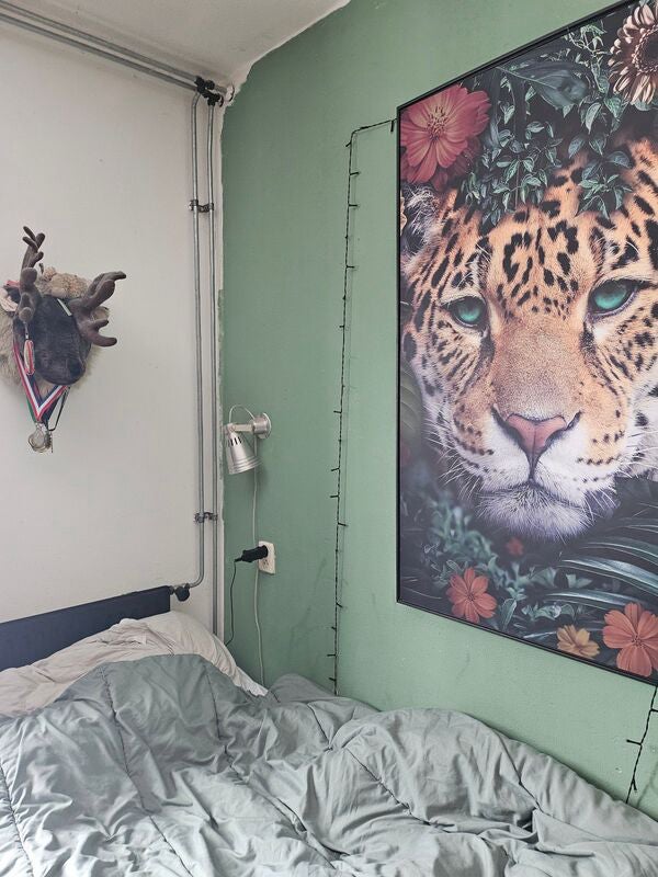Appartement Transvaalstraat 4
