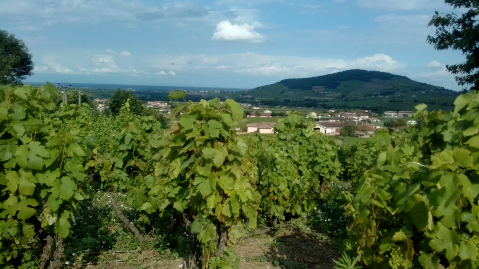 Chambre Route du Grand Saint-Cyr à Quincié-en-Beaujolais