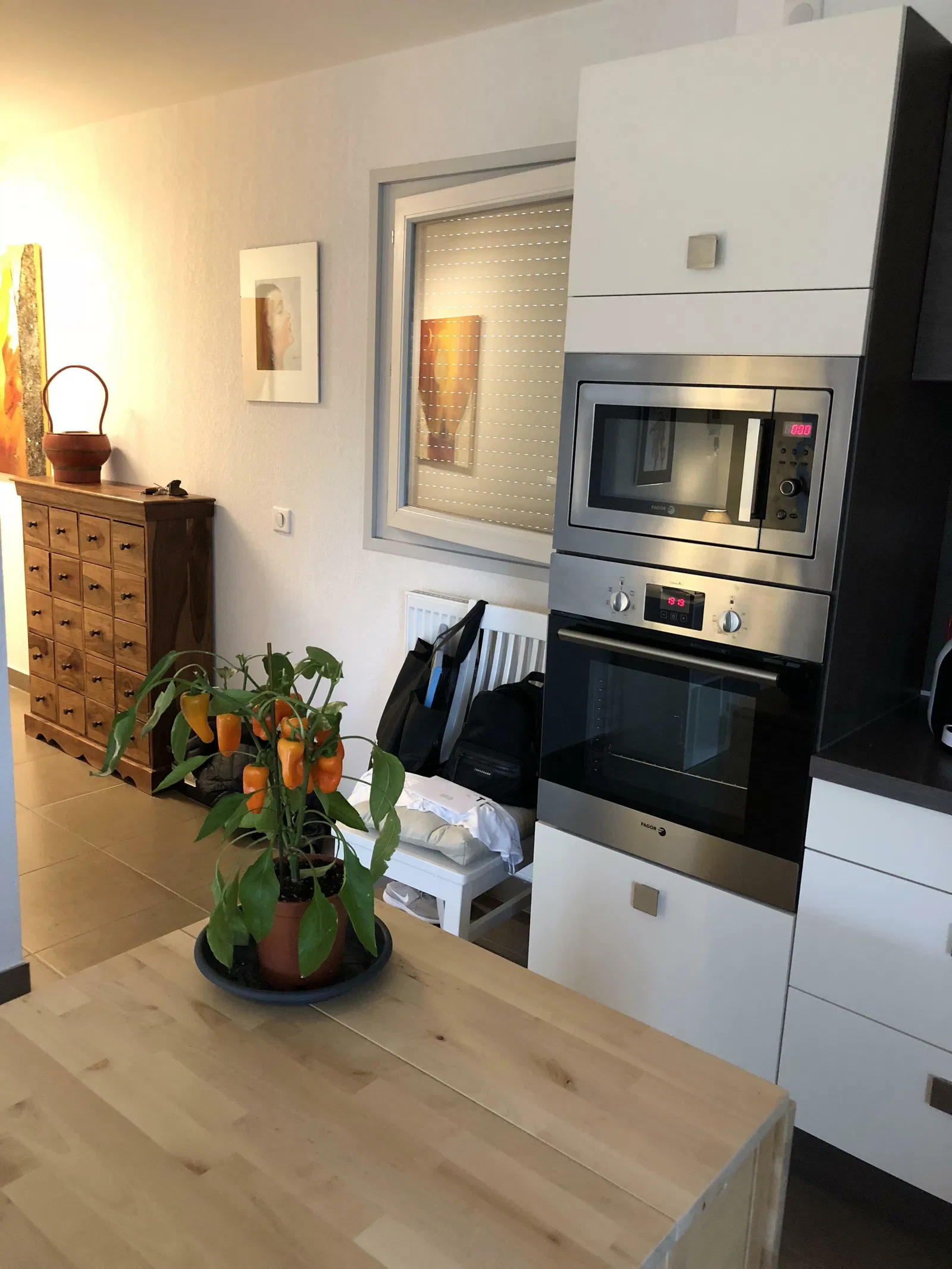 Flat Rue des Fleurs in Saint-Julien-en-Genevois