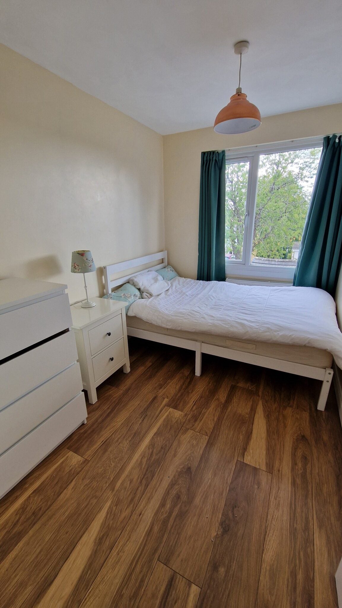 House Timber Dene in Bristol