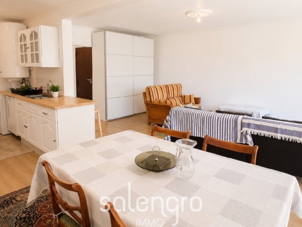 Appartement Avenue Roger Salengro à Villeurbanne