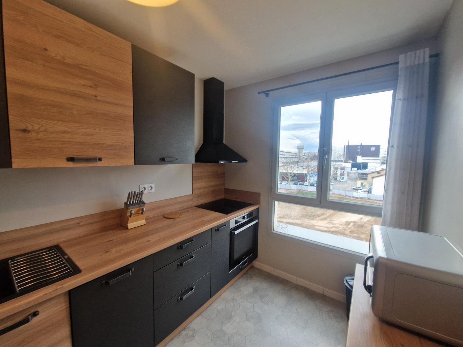 Appartement Avenue Paul Santy à Lyon