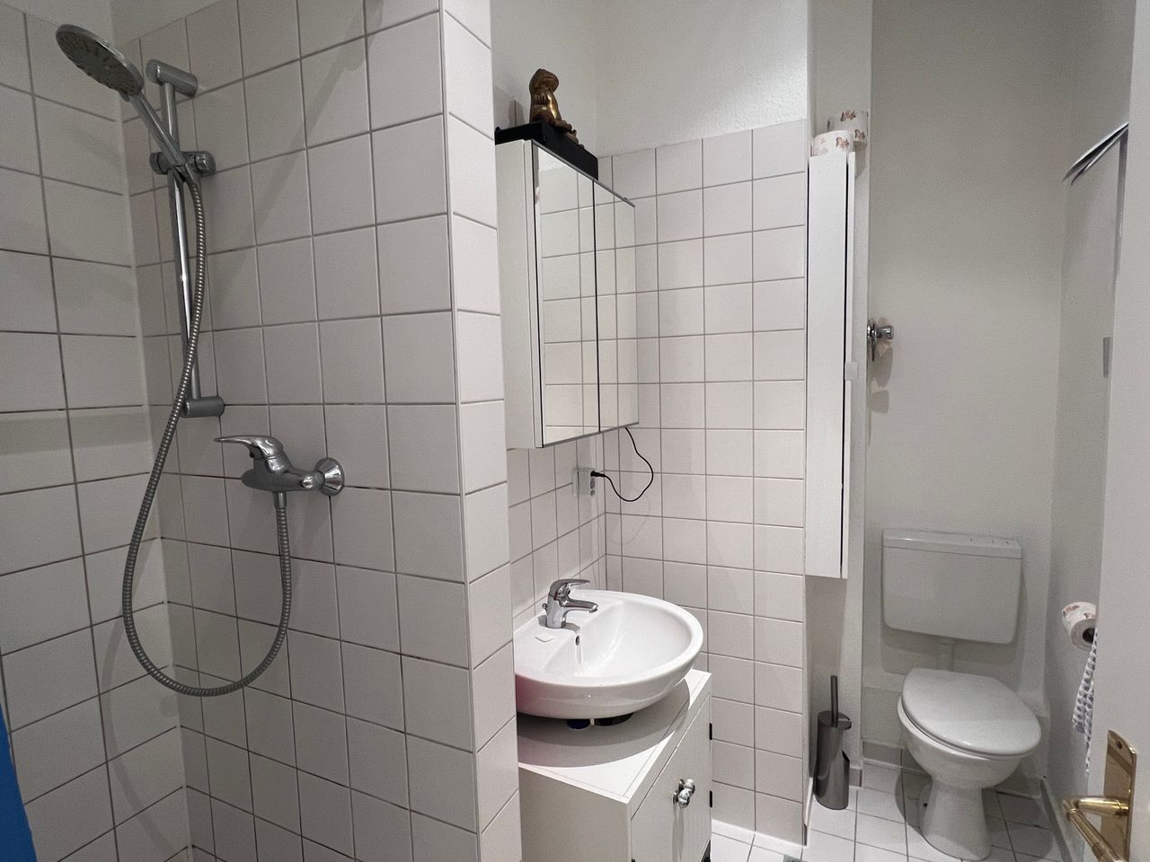 Wohnung Bornholmer Straße in Berlin