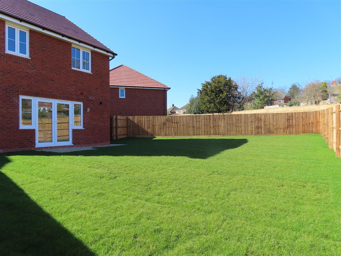 House Tulip Walk in Chelmsley Wood