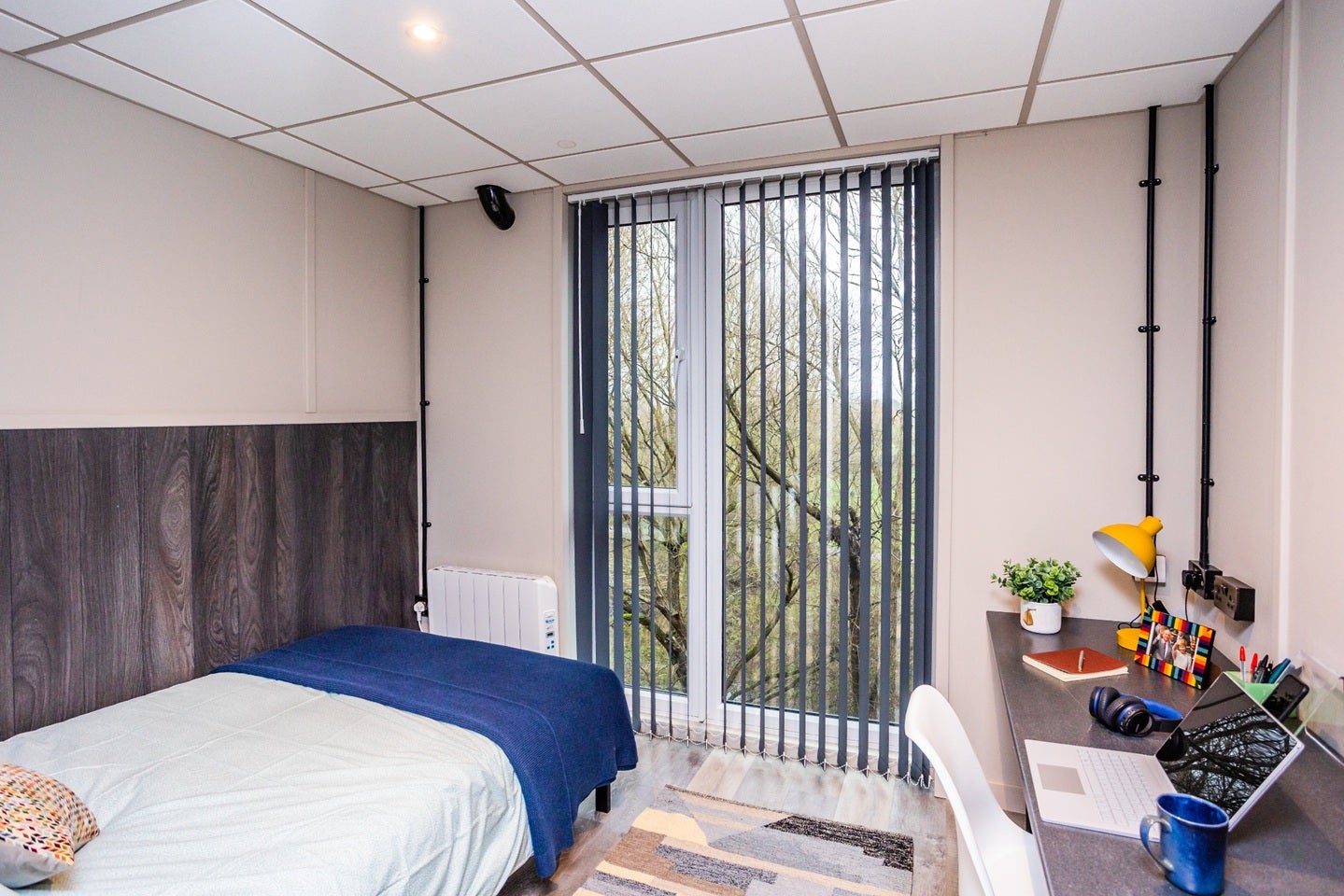 Room Bishop Hall Lane in Chelmsford
