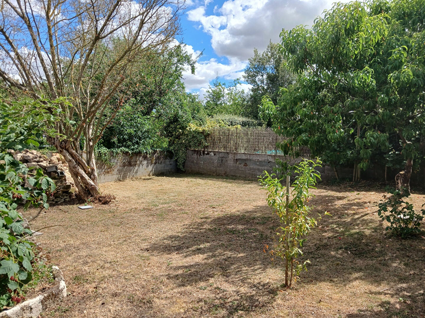 House Route de Mihoudy in Aubigné-sur-Layon