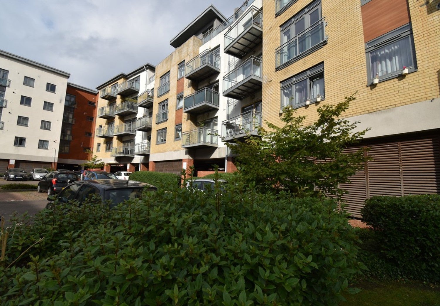 Flat Kingfisher Meadow in Maidstone