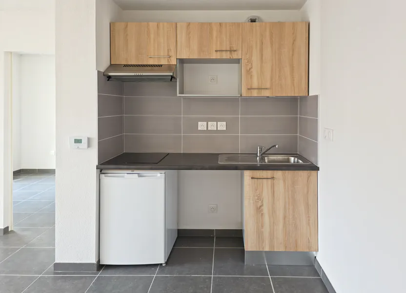 Appartement Rue Jean-Marie Arnaud à Castanet-Tolosan