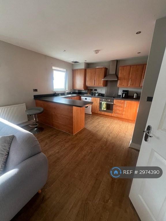 Flat Vicarage Lane in Sunderland