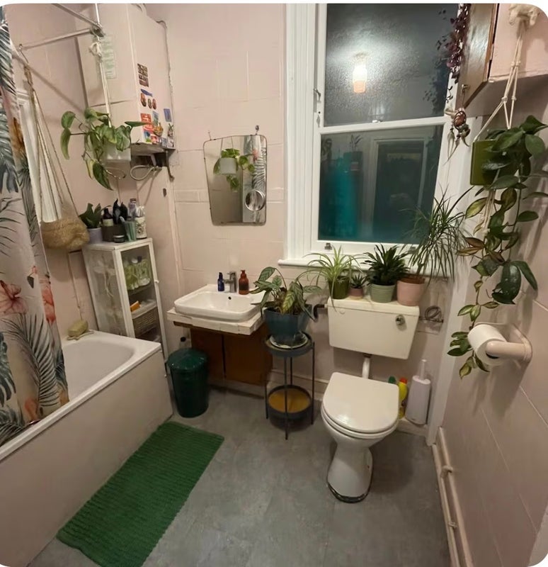 Room Tressillian Crescent in Greater London