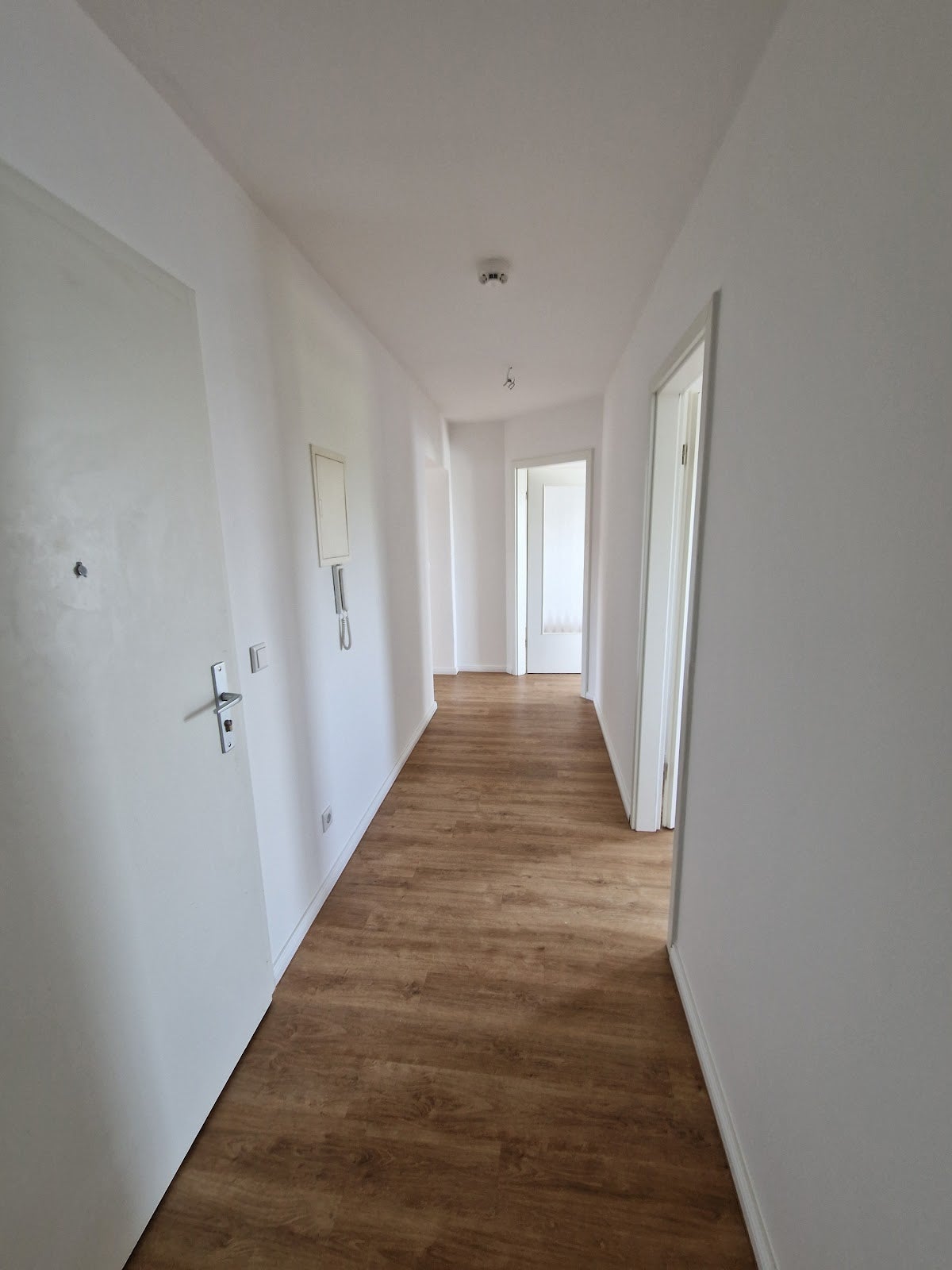Wohnung Am Elbufer in Wittenberg