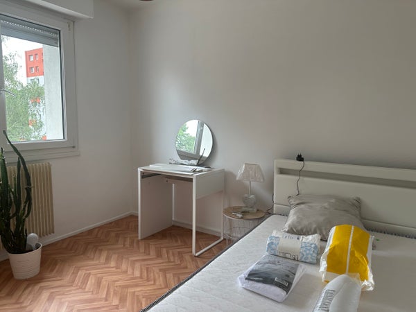 Flat Rue De Berne in Lingolsheim