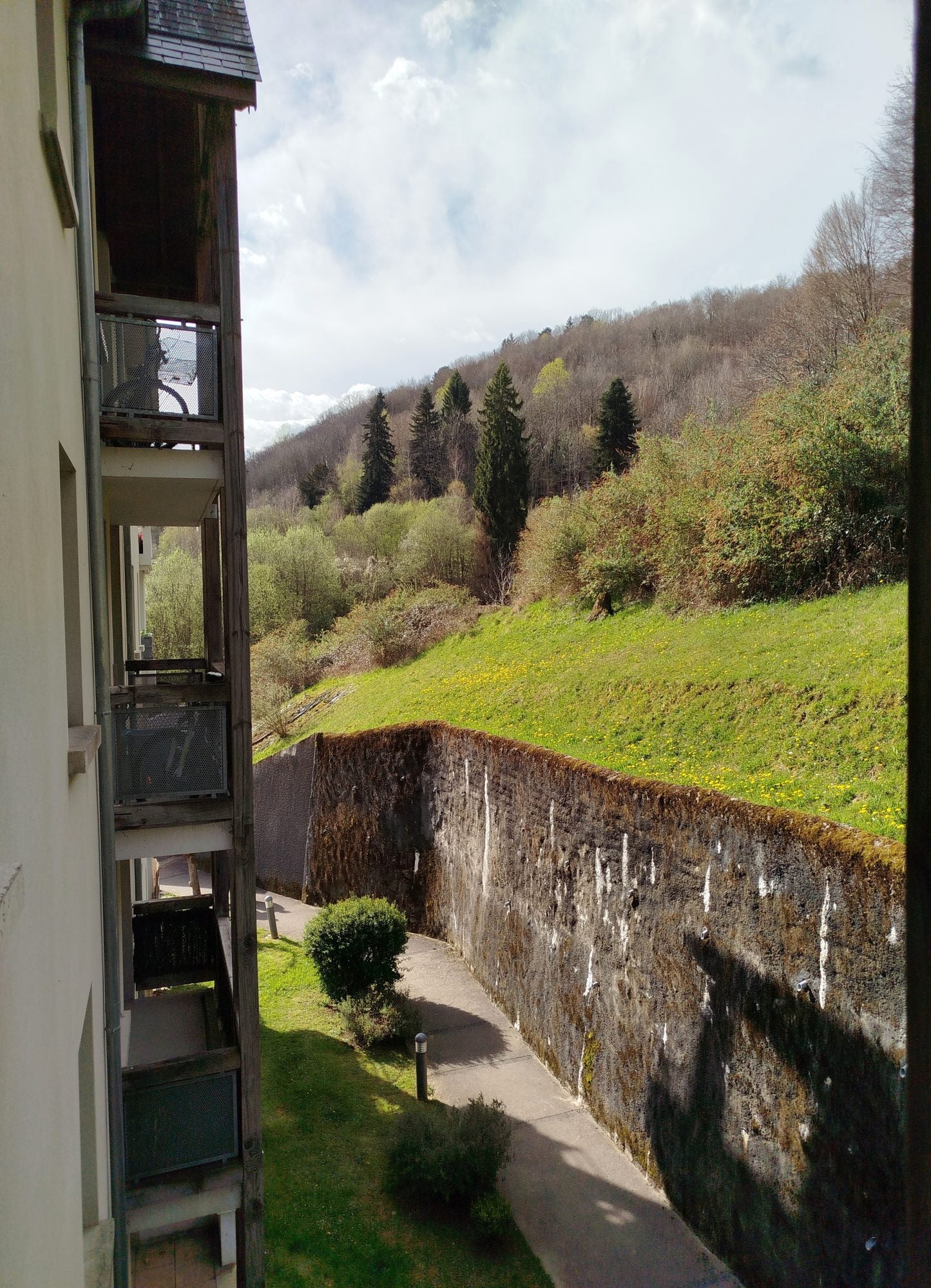 Flat Route Forestière de l'Haya in Beaudéan