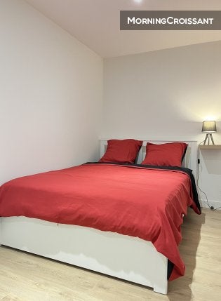Flat Rue Paul Bert in Saint-Étienne