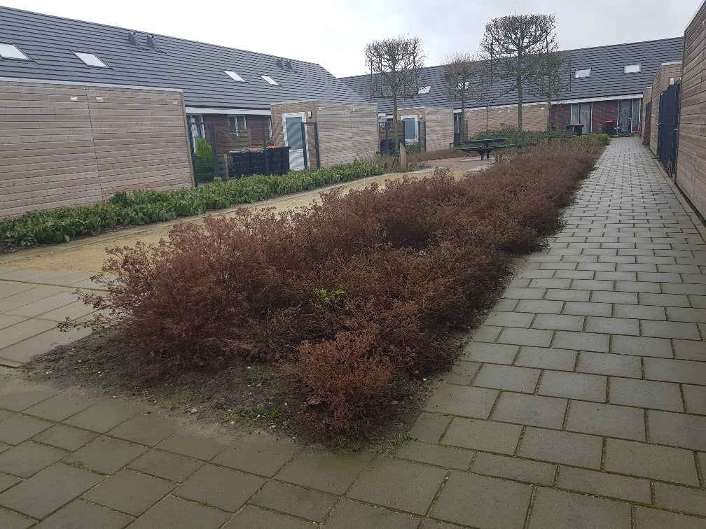Huis van Wassenaerstraat 96 A in Ter Aar