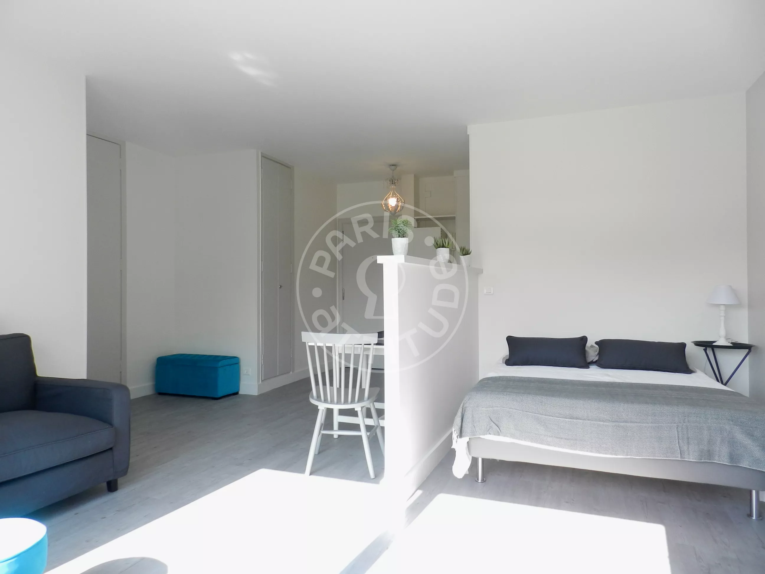 Flat Rue Lecourbe in Paris