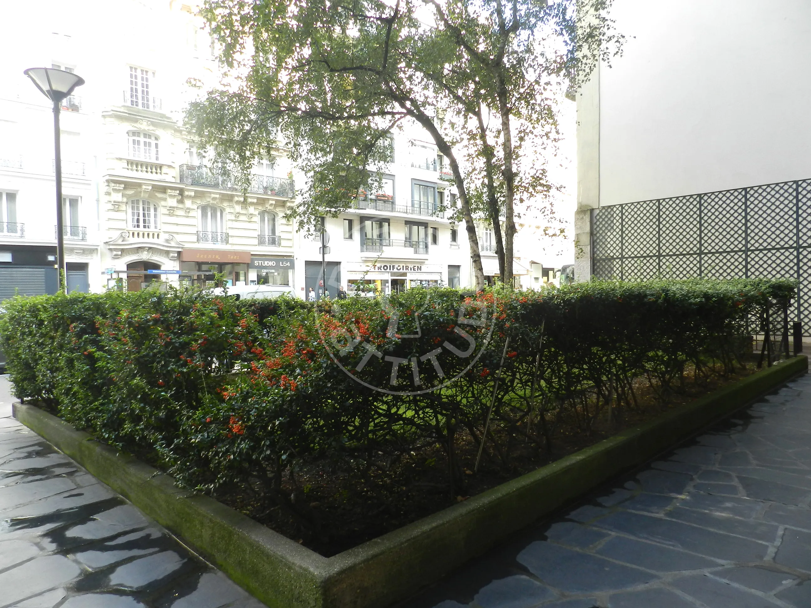 Flat Rue Lecourbe in Paris