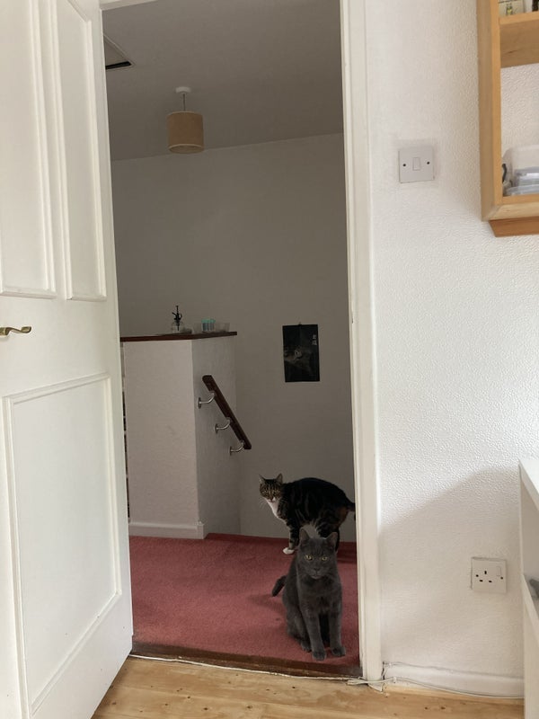 Room Beaulieu Avenue in Greater London