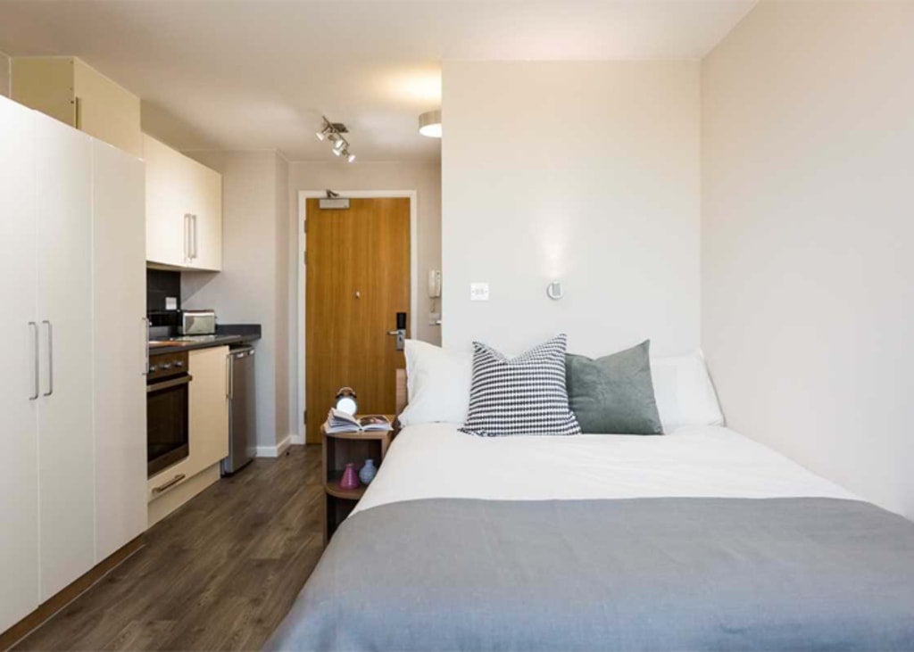 Flat Great Suffolk Street in Greater London