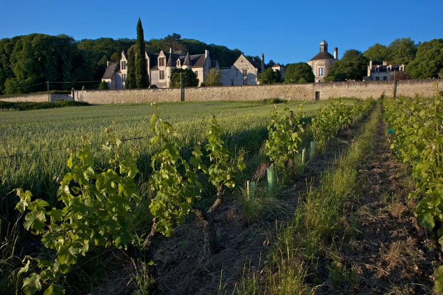 Flat Route de Marçay in Chinon