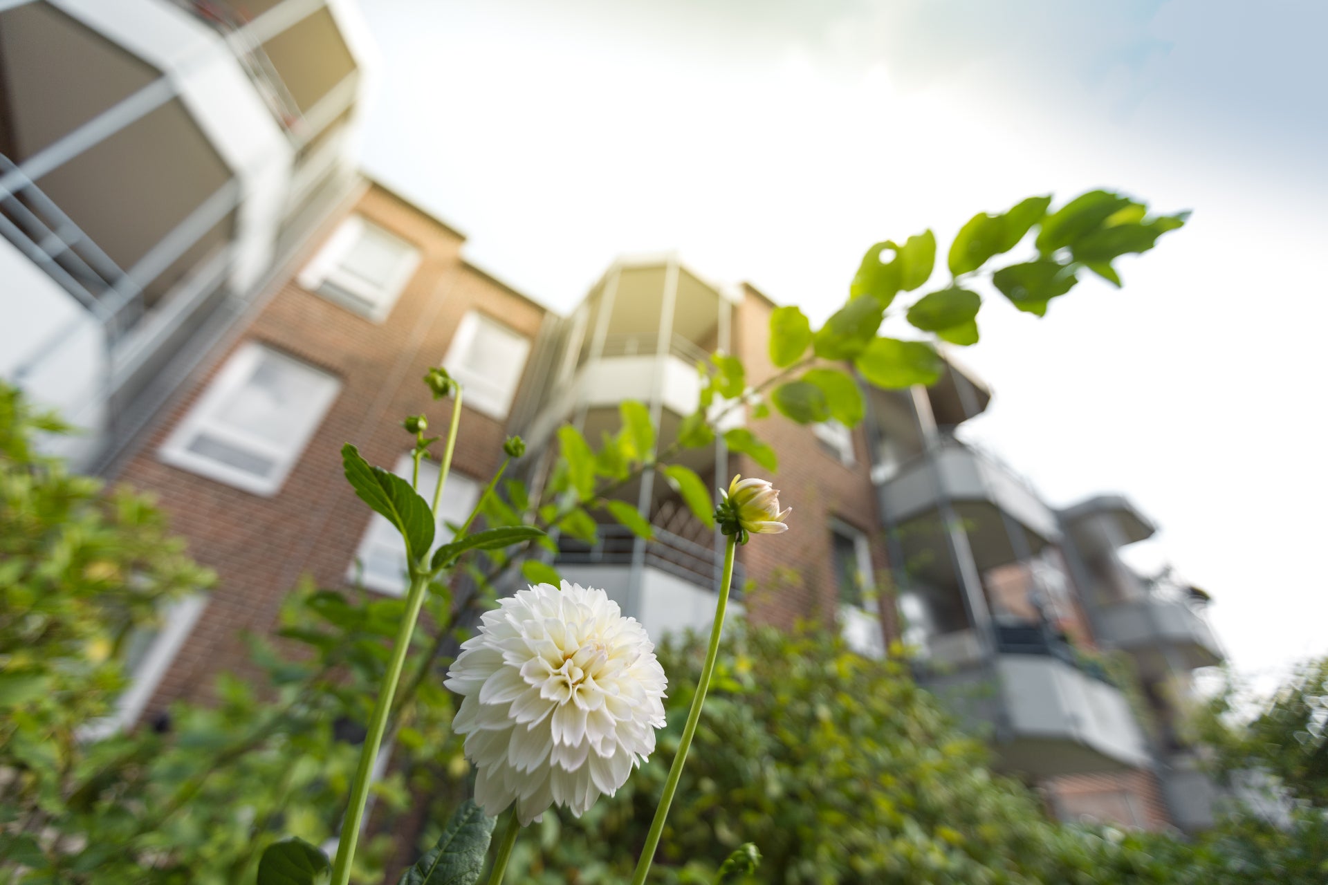 Wohnung Bergstraße in Bremerhaven