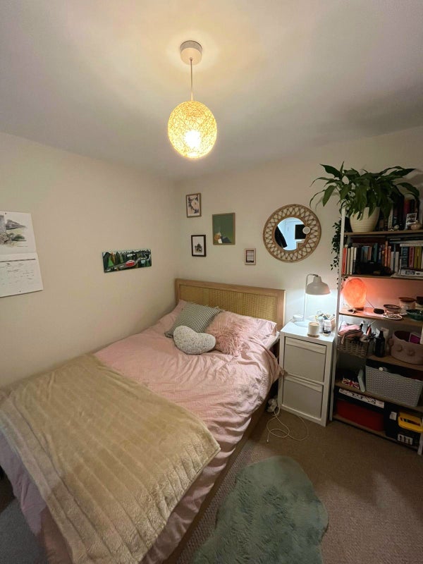 Room Gowlett Road in Greater London