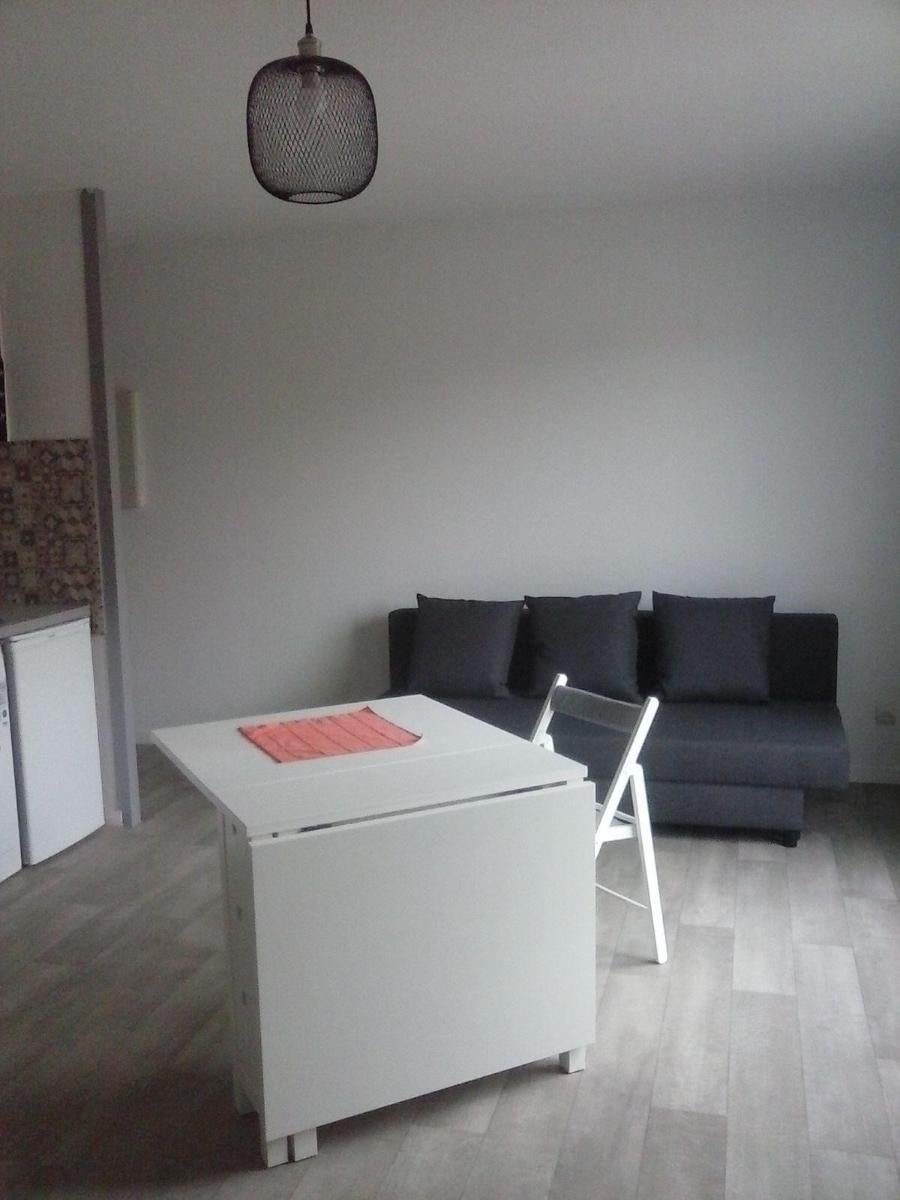 Appartement Rue Tréfilerie à Saint-Étienne