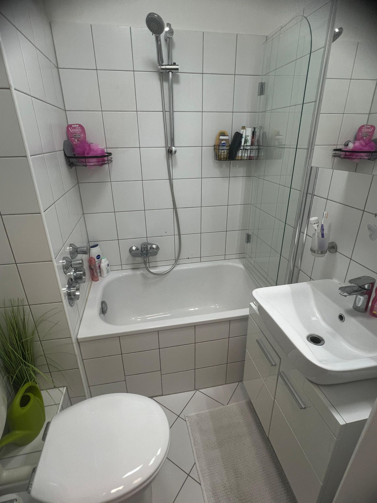 Wohnung Rödelheimer Parkweg in Frankfurt am Main