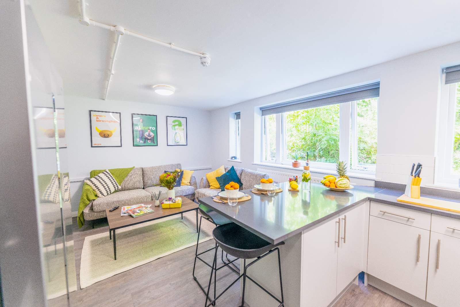 Flat Elvetham Road in Birmingham